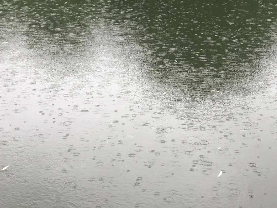 IMG_3269.jpg?type=w966