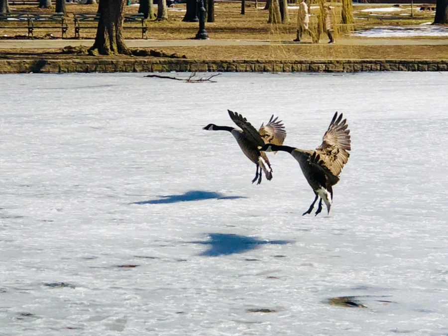 IMG_5078.jpg?type=w966