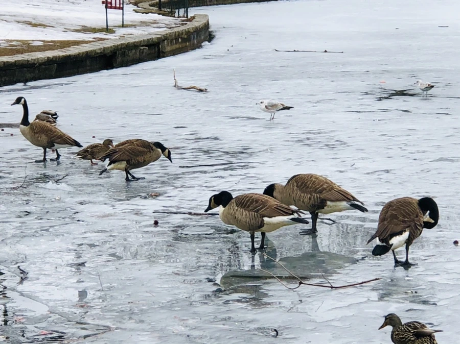 IMG_6195.jpg?type=w966