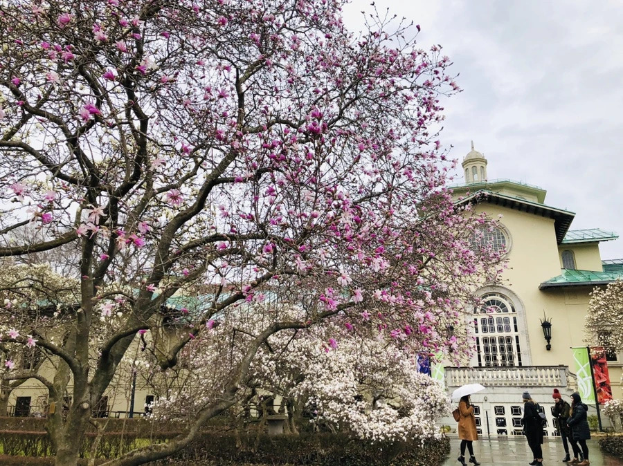 IMG_2379.jpg?type=w966