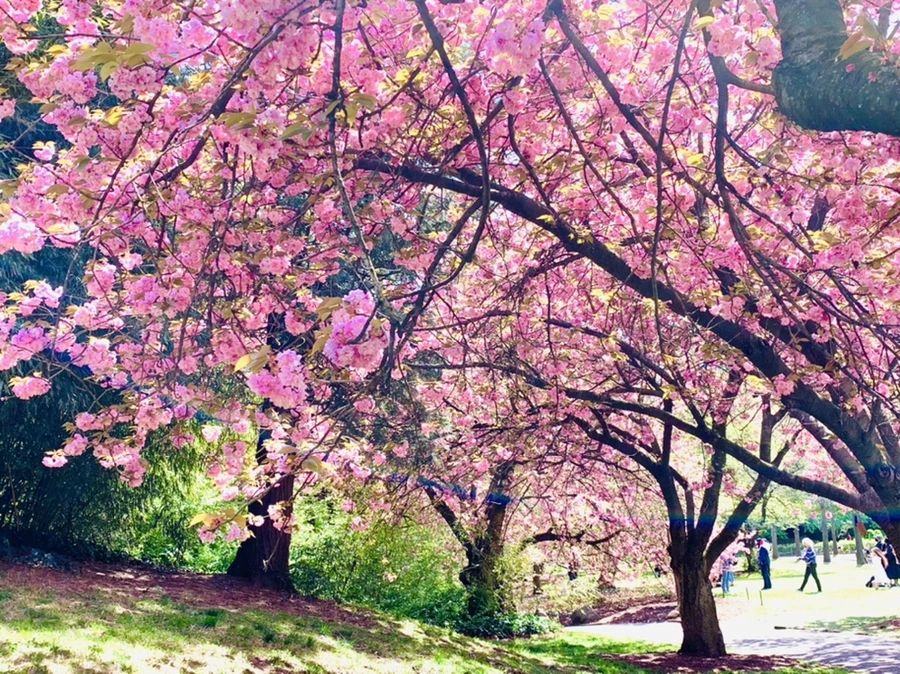 IMG_6415.jpg?type=w966