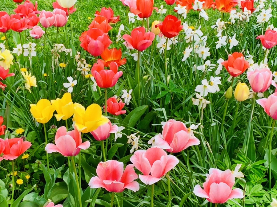 IMG_6965.jpg?type=w966