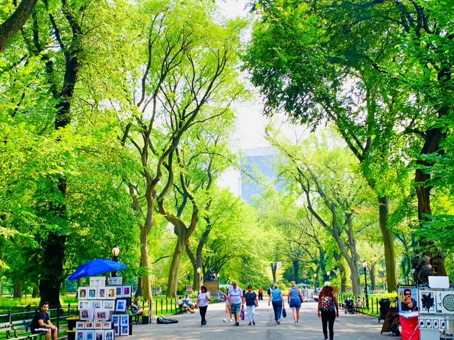 IMG_2160.jpg?type=w966