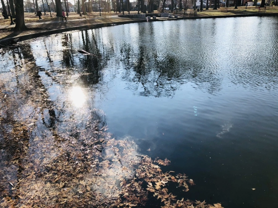 IMG_4114.jpg?type=w966