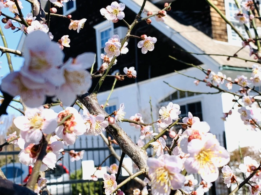 IMG_1309.jpg?type=w966