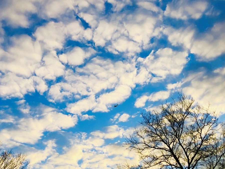 IMG_4857.jpg?type=w966