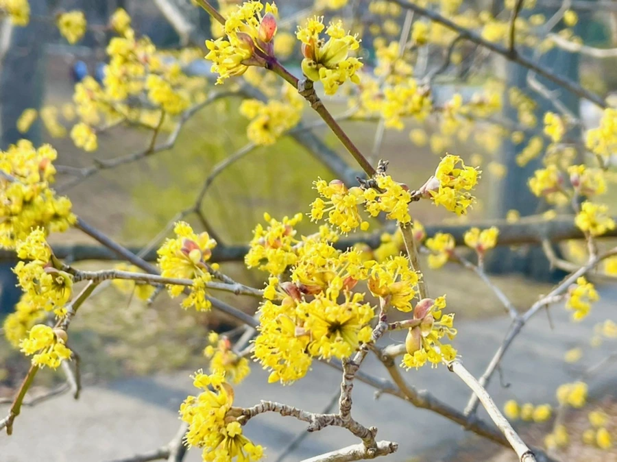 IMG_5933.jpg?type=w966