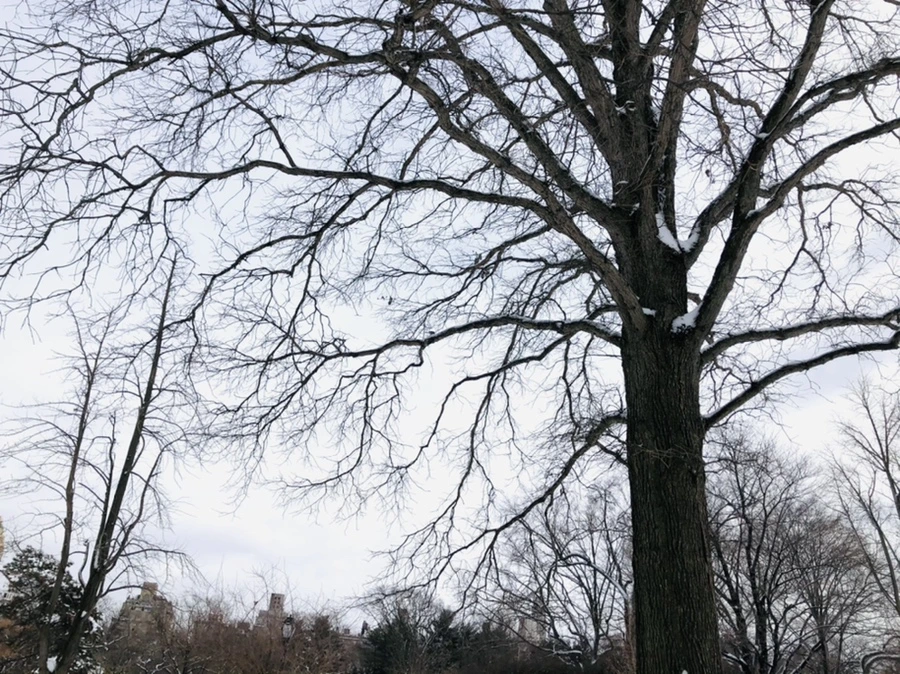 IMG_9471.jpg?type=w966