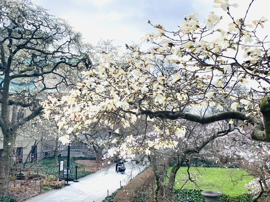 IMG_6470.jpg?type=w966