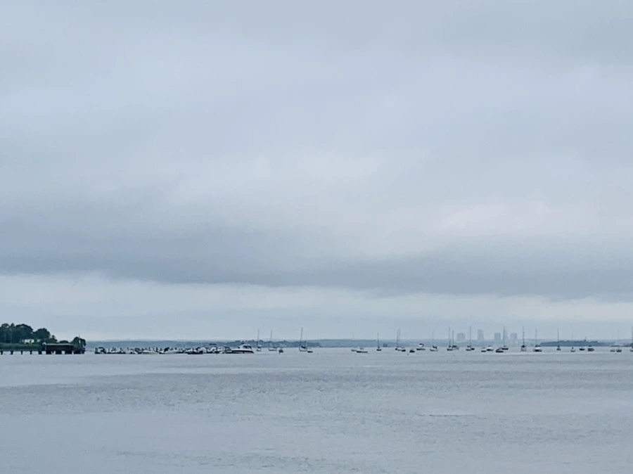 IMG_7139.jpg?type=w966