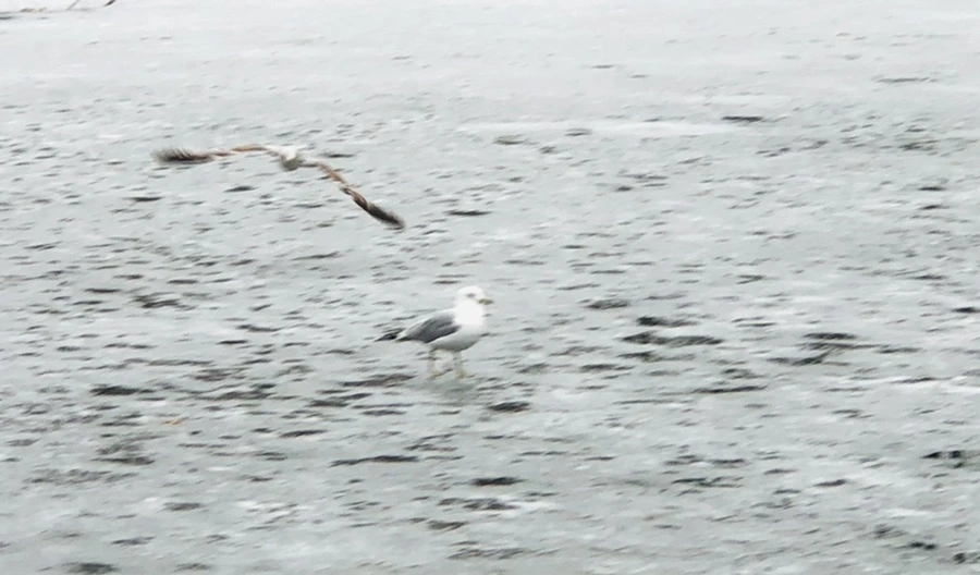 IMG_5602.jpg?type=w966