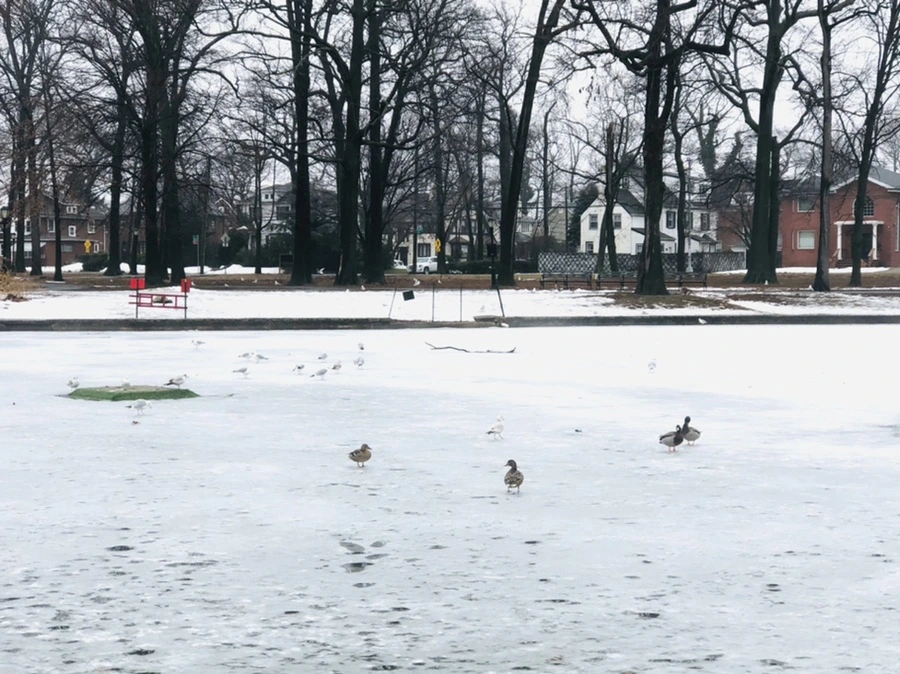 IMG_5750.jpg?type=w966