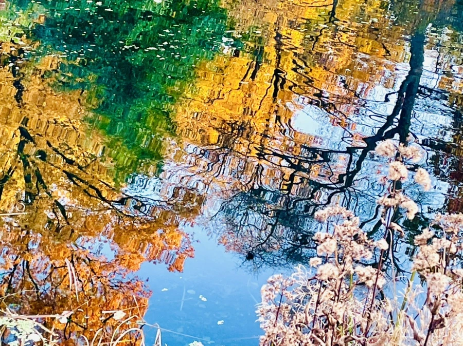 IMG_1931.jpg?type=w966