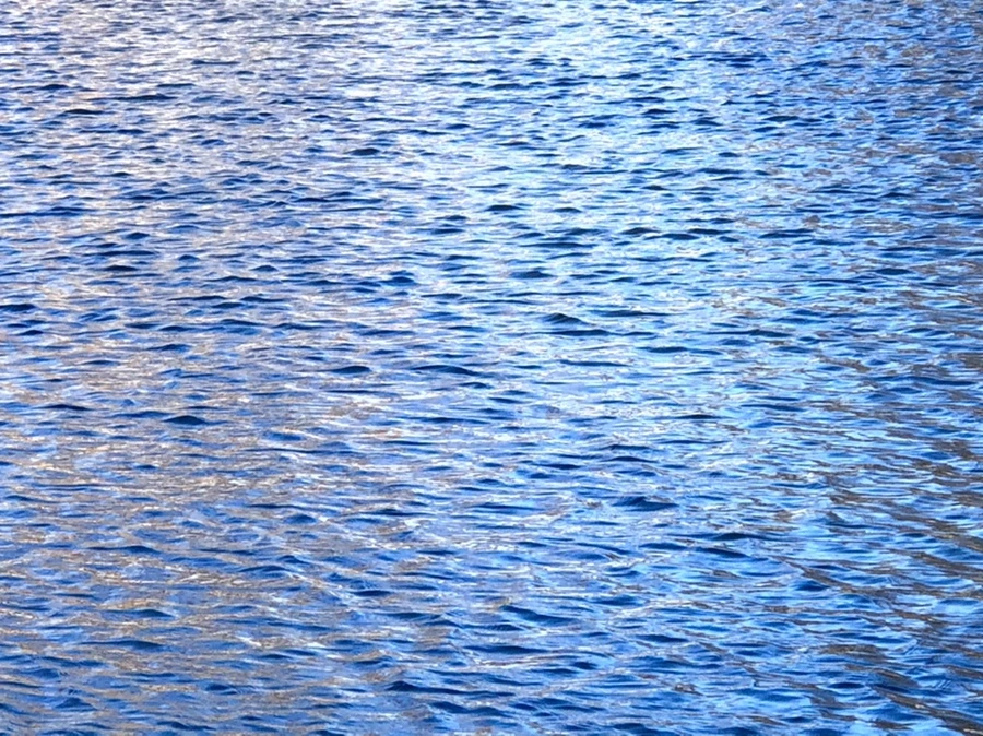 IMG_3793.jpg?type=w966