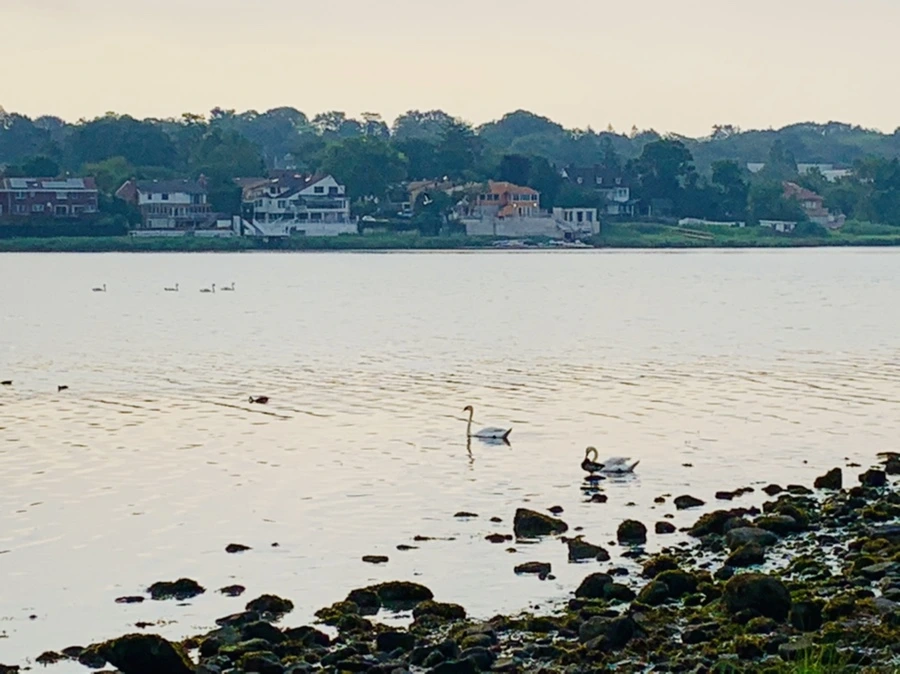 IMG_2252.jpg?type=w966