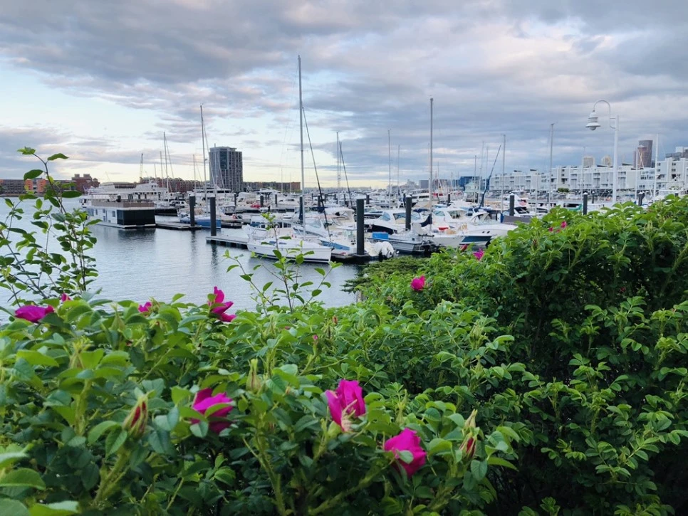 IMG_4959.jpg?type=w966