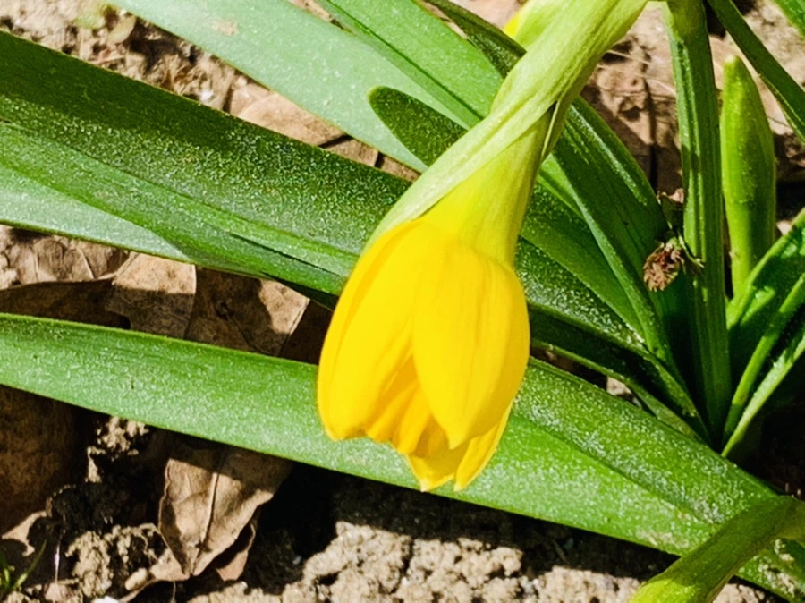 IMG_3411.jpg?type=w966