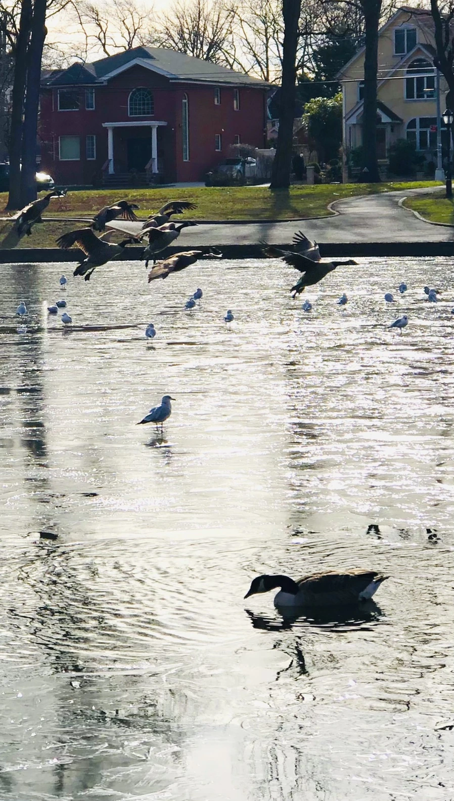 IMG_8460.jpg?type=w966