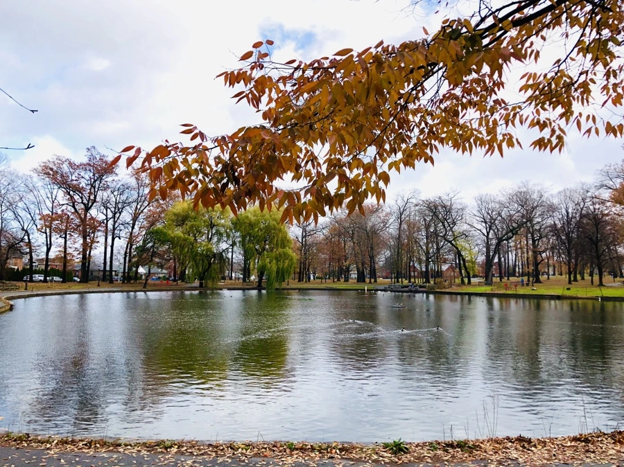 IMG_5444.jpg?type=w966