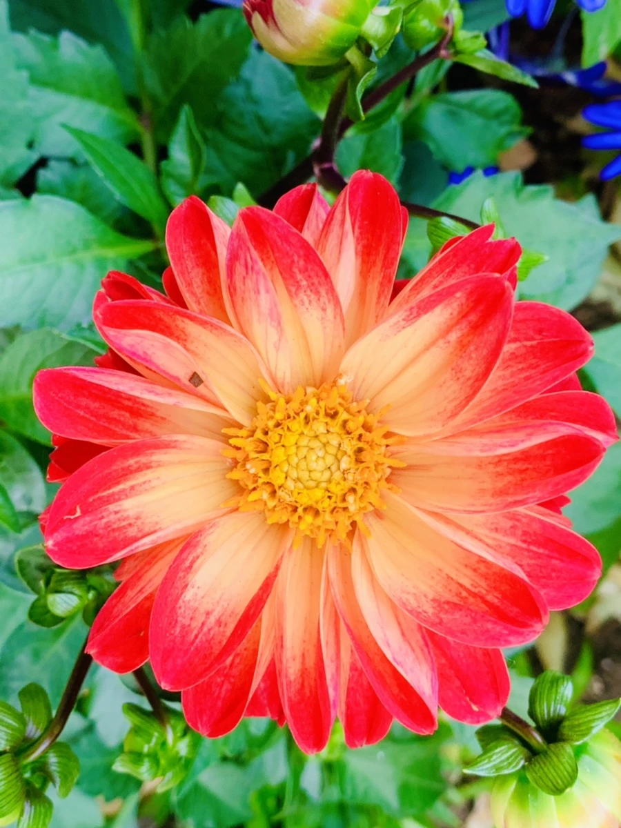 IMG_8926.jpg?type=w966