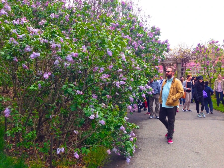 IMG_4559.JPG?type=w1