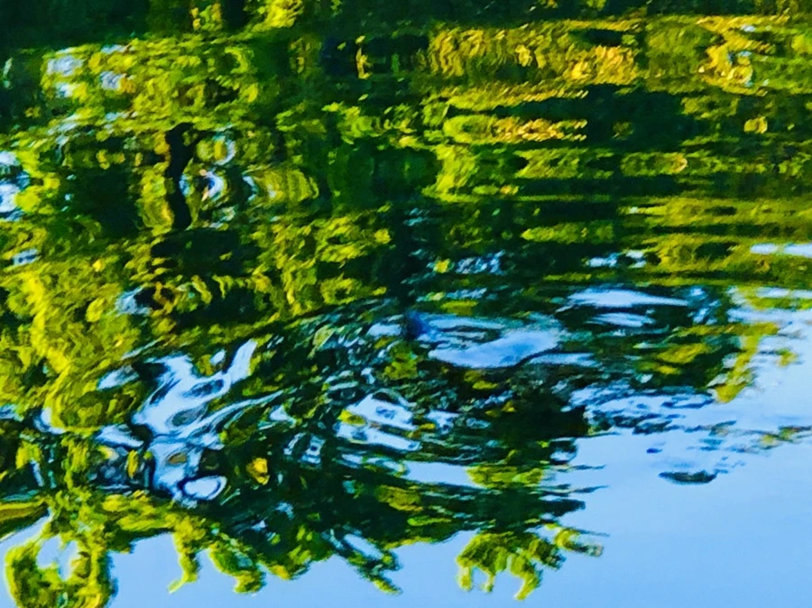 IMG_2617.jpg?type=w966