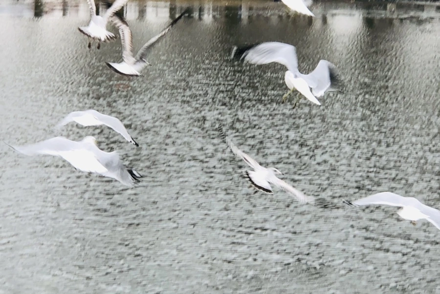 IMG_3283.jpg?type=w966