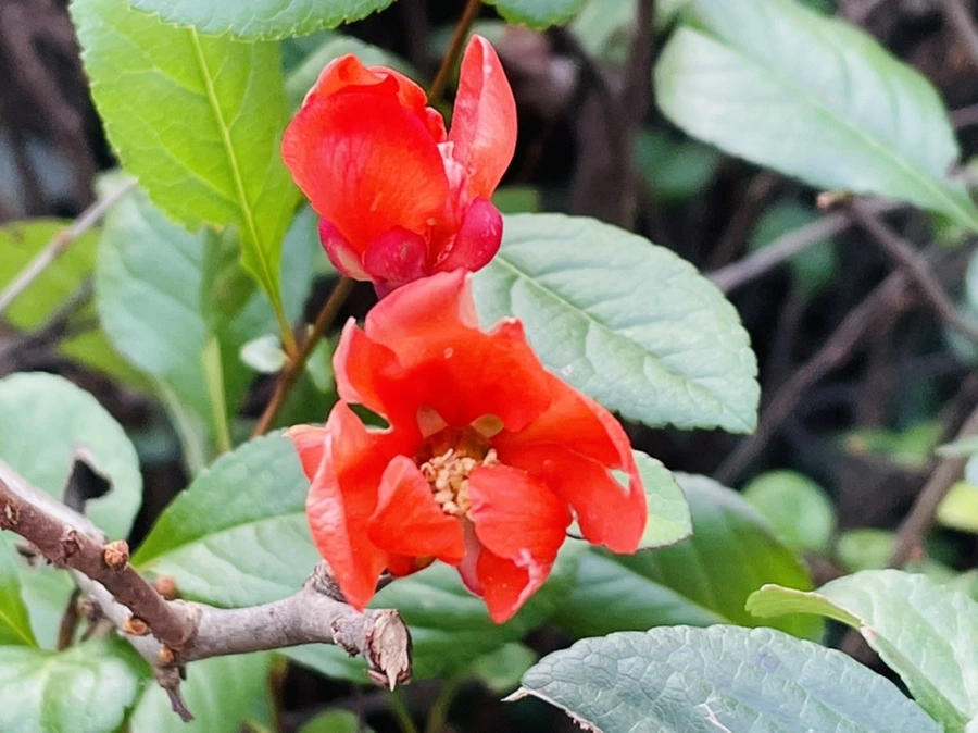 IMG_1283.jpg?type=w966