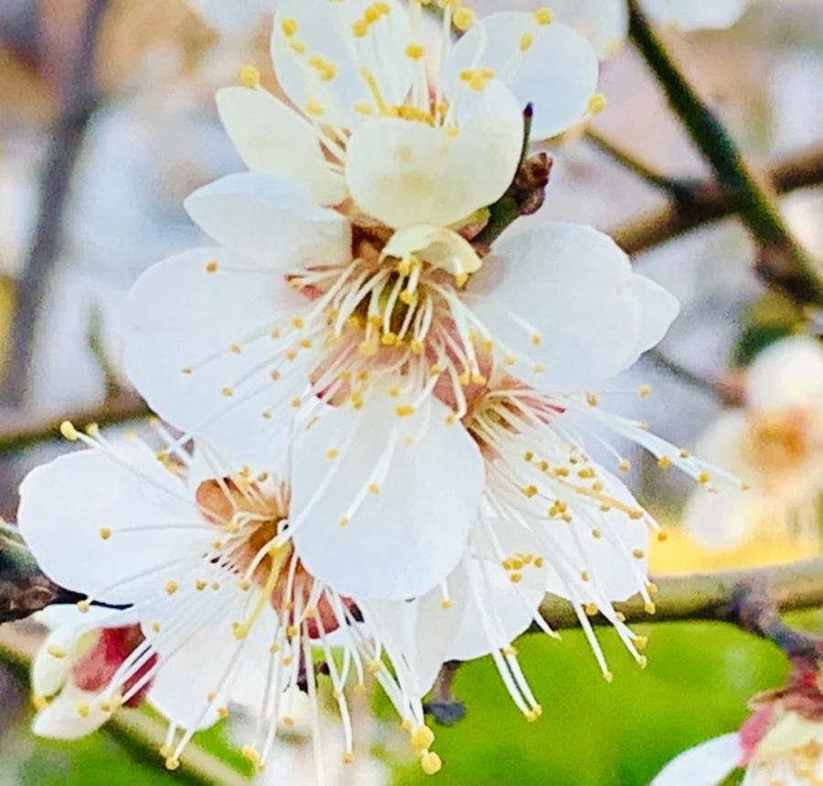 IMG_0837.jpg?type=w966