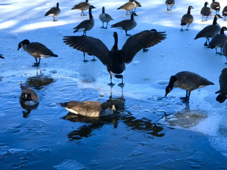 IMG_9928.jpg?type=w966