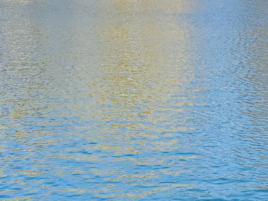 IMG_9939.jpg?type=w966