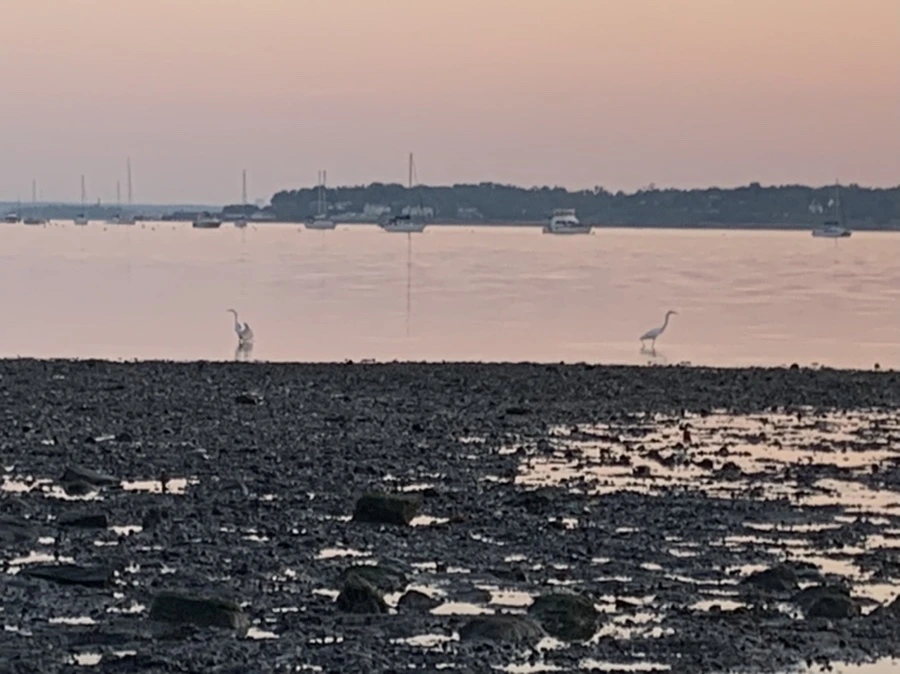 IMG_0072.jpg?type=w966