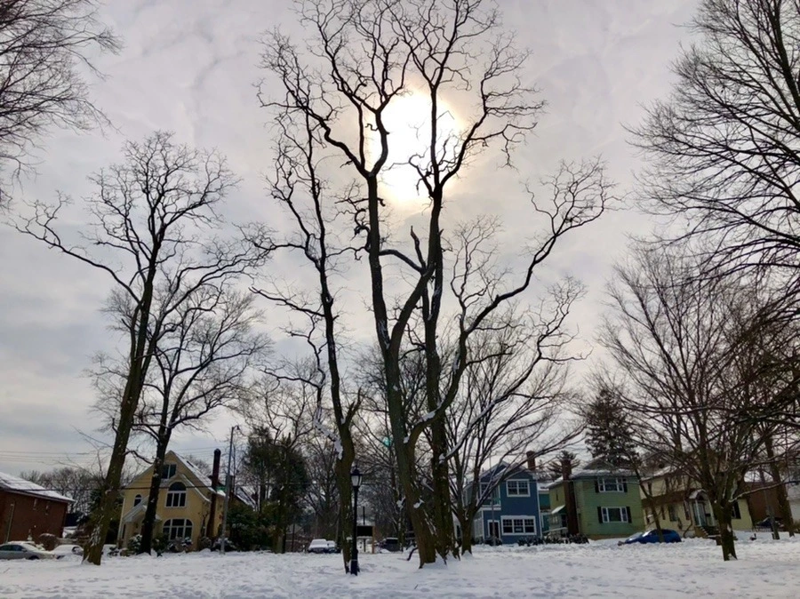 5Myi6z1gmZqOiaSj3pFftHXy4sA