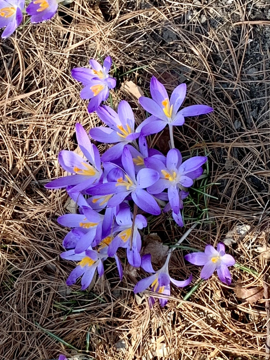 IMG_9757.jpg?type=w966