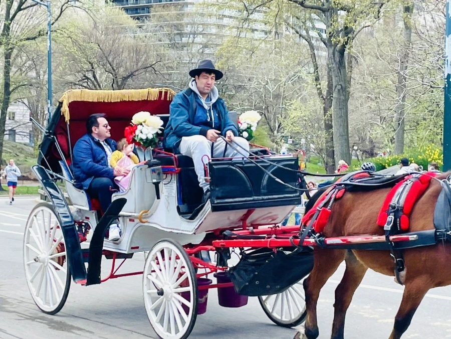 IMG_1124.jpg?type=w966