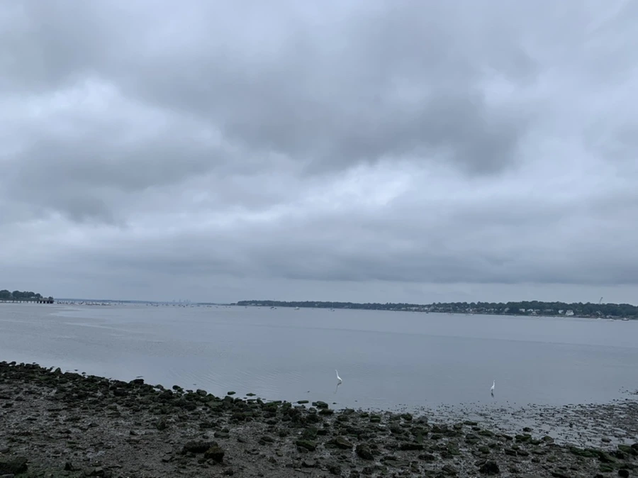 IMG_3697.jpg?type=w966