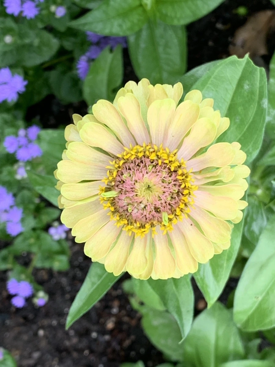 IMG_9555.jpg?type=w966