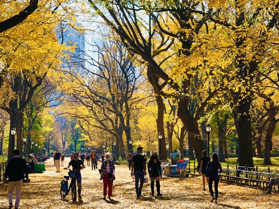 IMG_4311.jpg?type=w966