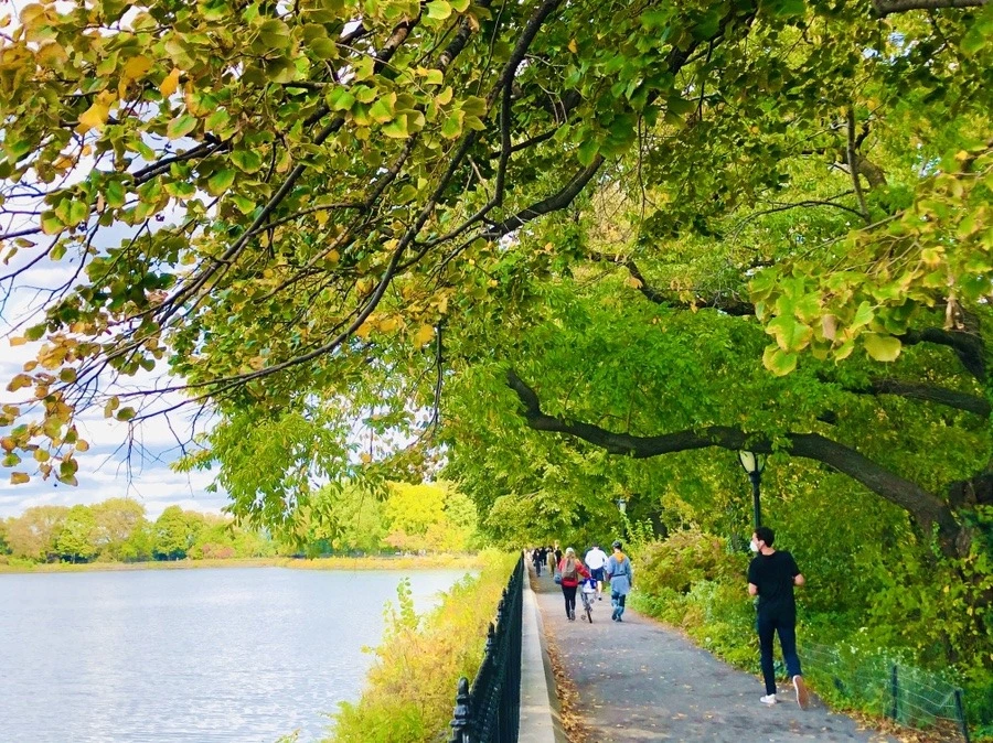 KUNn5nsBJt8b7S1a7oHypcl97oU