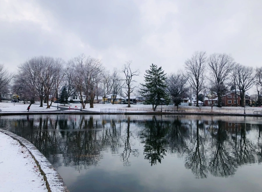 IMG_4502.jpg?type=w966