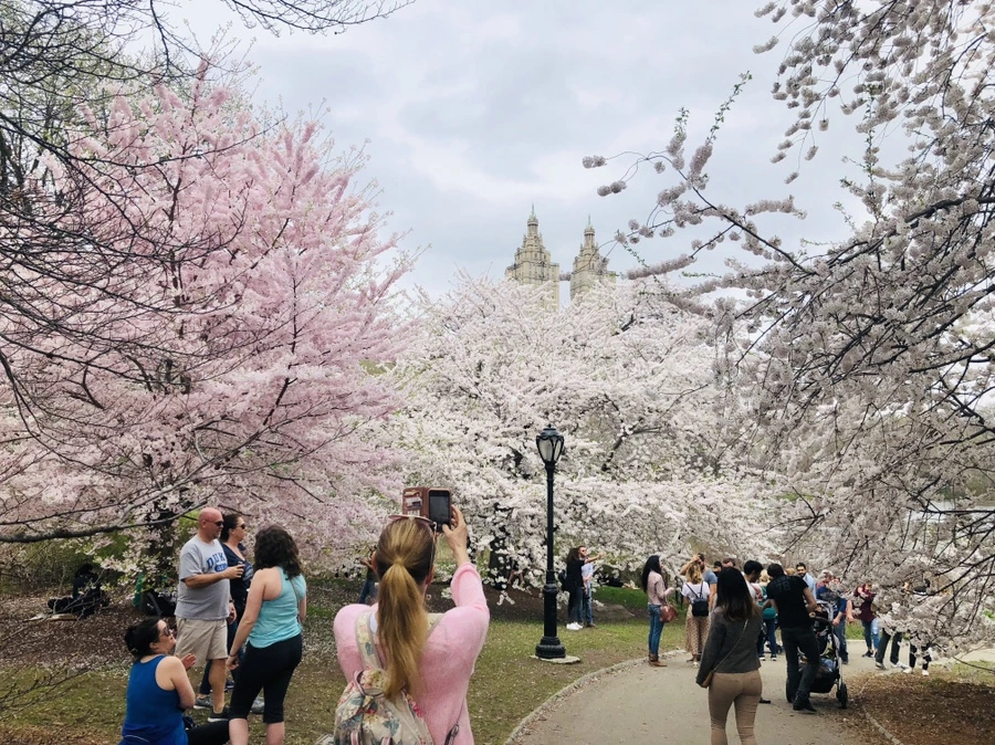 IMG_2953.jpg?type=w966