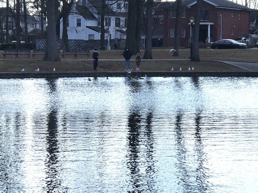 IMG_4217.jpg?type=w966