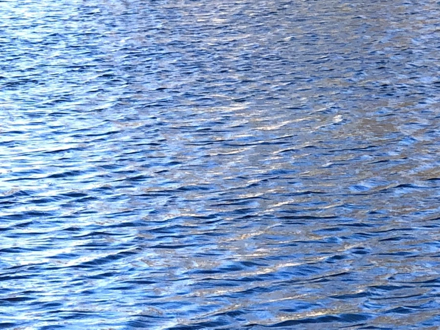 IMG_3852.jpg?type=w966