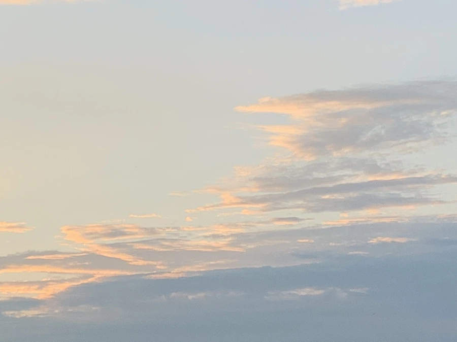 IMG_1217.jpg?type=w966