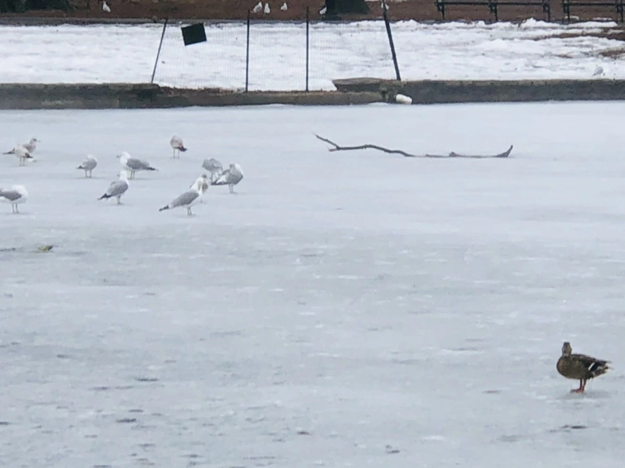 IMG_5749.jpg?type=w966