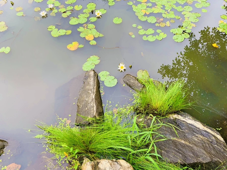 IMG_4849.jpg?type=w966