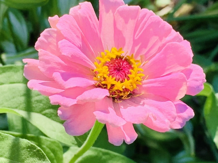 IMG_8735.jpg?type=w966