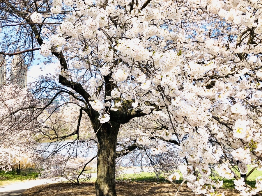 IMG_6878.jpg?type=w966