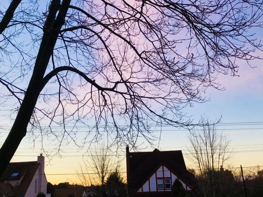 IMG_5614.jpg?type=w966