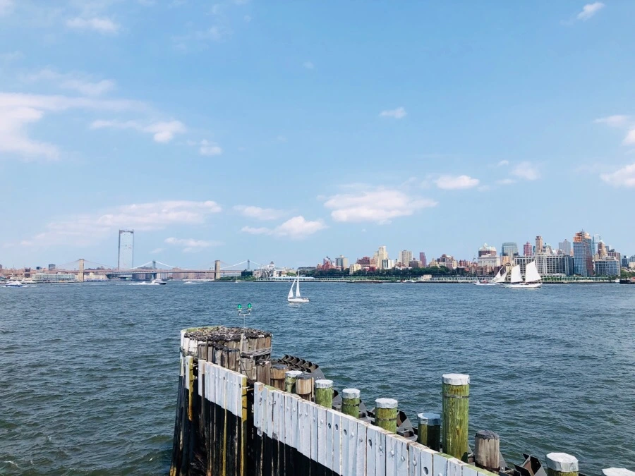 IMG_3117.jpg?type=w966